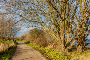 Obraz premium 6092 Travemünde - Brodtener Steilufer