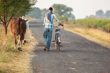Fototapeta premium Rural Morning Walk