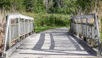 boardwalk footbridge through the forest trail
