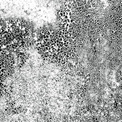 Grunge background texture. Abstract pattern of chaotic elements. Art object