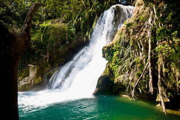 Fototapeta premium Waterfall in a forest, Tamasopo Waterfalls, Tamasopo, San luis Potosi, Mexico