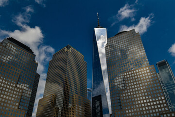 Fototapeta premium Freedom Tower 