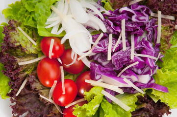 Close-up of lettuce and tomato salad
