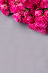 Beautiful pink roses over gray background with copy space. Text space