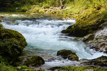 Rapids of the river Radovna in Bled Vintgar