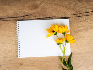 one field flower is lying on a wooden table next to a notebook an empty mockup. Blank notebook with white flower and bas ket of flower on vintage wooden table View from above with copy space