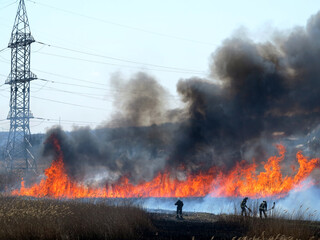 Fototapeta na wymiar Fire, wildfire, conflagration, burning reeds and trees near the road under high-voltage wires