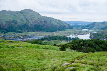 View of Muckross Lake and Lough Leane at Killarney National Park