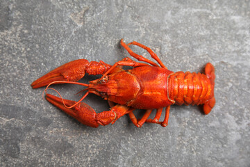 Delicious boiled crayfish on grey table, top view