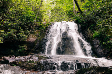 a beautiful and majestic waterfall in the Great Smoky Mountains National Park near Gatlinburg,...
