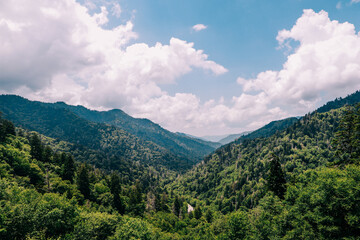 The Great Smoky Mountains near Gatlinburg Tennessee in the summertime with a blue sky and clouds