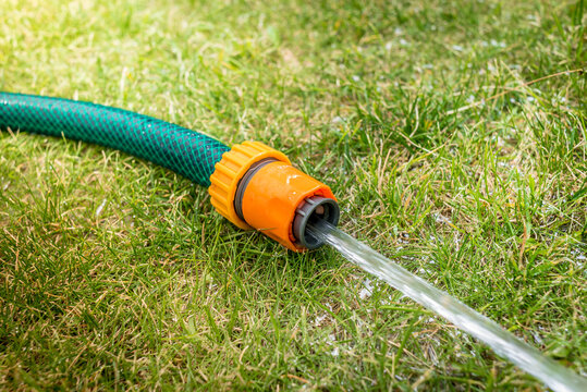 hose with water jet/hose with water jet on the green grass