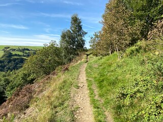 Hiking trail, above the valley, with gorse, old trees and wild plants in, Shibden, Halifax, UK