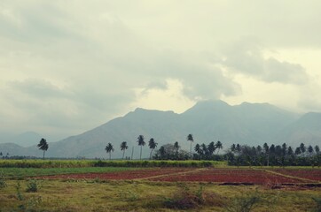 Obraz premium landscape with clouds and fog