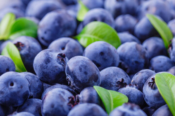 Fresh blueberry background. Blueberry Texture Close Blueberry Antioxidant Organic Superpeed Bowl Concept Healthy Nutrition