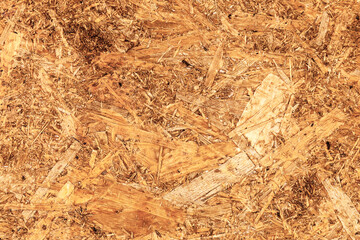 Oriented Strand Board. Chipboard building material. OSB wooden panel made of pressed sandy brown wood shavings as background closeup