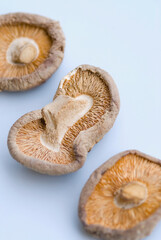 High angle view of dry mushrooms