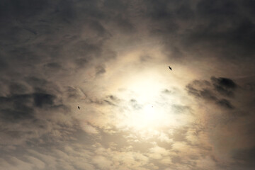 Twilight cloudy sky at sunset, the effect of lens flare. Beautiful sky at sunset or sunrise with flying birds in the sun, natural background. Freedom of birds, concept of freedom