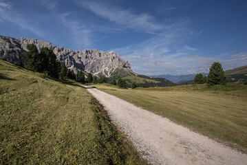 Green alpine meadows and pastures at the start on trail 8A of the Circular hike  from Passo delle Erbe (Erbe pass) around Sass de Putia mountain, Dolomites, Trentino, Alto-Adige, South Tirol, Italy.
