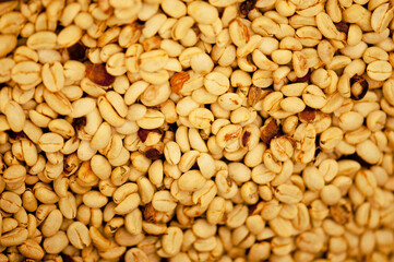 Close-up of coffee beans