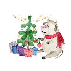 Cute bull in red knitted scarf decorates Christmas tree with ball. Symbol of 2021 year. Watercolor illustration isolated on white.