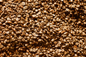 Close-up of coffee beans