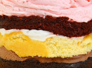 Colorful Cake Decorated  Isolated on  Background