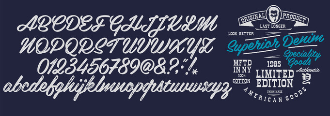 Handwritten calligraphic alphabet for t-shirt or apparel.