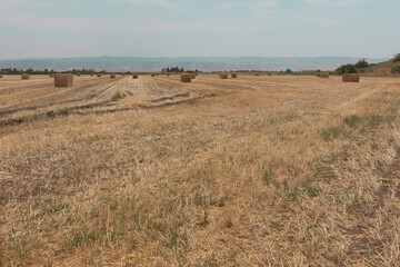 Hay bales in a field.