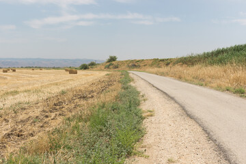 Fototapeta na wymiar Road in the countryside.