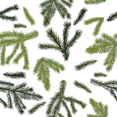 Fir twigs seamless background. seamless pattern . Spruce branches. Vector illustration