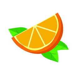 Grapefruit slice, pink, coral, vector graphics, segmented on a white background.