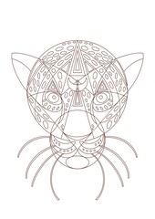 Head of the cheetah. Line work 
