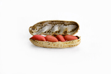 Isolated peanuts shell containing peanuts seeds in white background