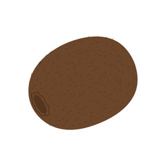 A whole kiwi isolated on a white background. Realistic vector illustration.