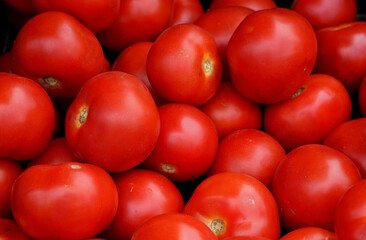 Heap of small bright red tomatoes, displayed on street food market, closeup detail from above