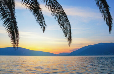 Montenegro, Adriatic Sea, Kotor Bay.  Silhouettes of leaves of palm tree against beautiful Mediterranean landscape at sunset