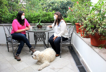 
Latin women friends with protection mask talking, checking cell phone and drinking coffee on terrace with natural vegetation and accompanied by white dog, new normal