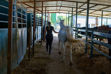 Caballo español en una hipica en andalucia con su Jinete Amazona montandolo con sus riendas y...