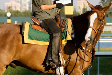 Side profile of a man riding a horse 