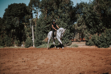 Caballo español en una hipica en andalucia con su Jinete Amazona montandolo con sus riendas y saltando en una pista 