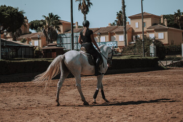 Caballo español en una hipica en andalucia con su Jinete Amazona montandolo con sus riendas y saltando en una pista 