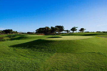 Fototapeta premium Trees in a golf course 