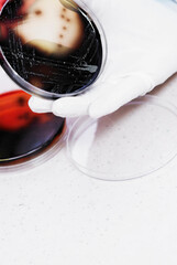 Close-up of a person's hand holding a Petri dish