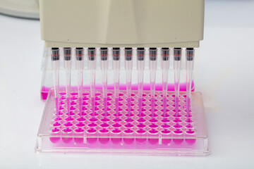 Scientist holding a 96 well plate with samples for biological analysis / Researcher pipetting...