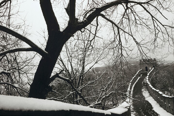 Bare trees along a fortified wall, Great Wall Of China, China