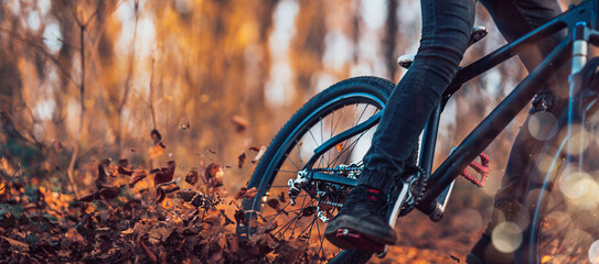 Close up, low angle view of mountain biker in the woods.