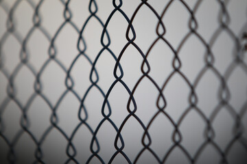 Naklejka premium chain link fence