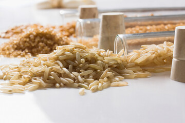 Close-up of brown rice and sugar with wheat in test tubes