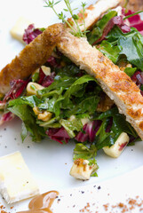 High angle view of chicken strips on salad